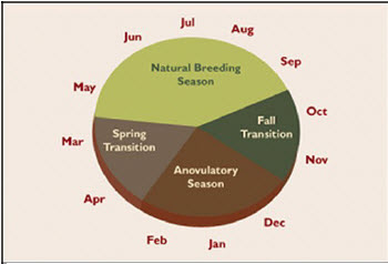 calendar with breeding the mare factorsjpg